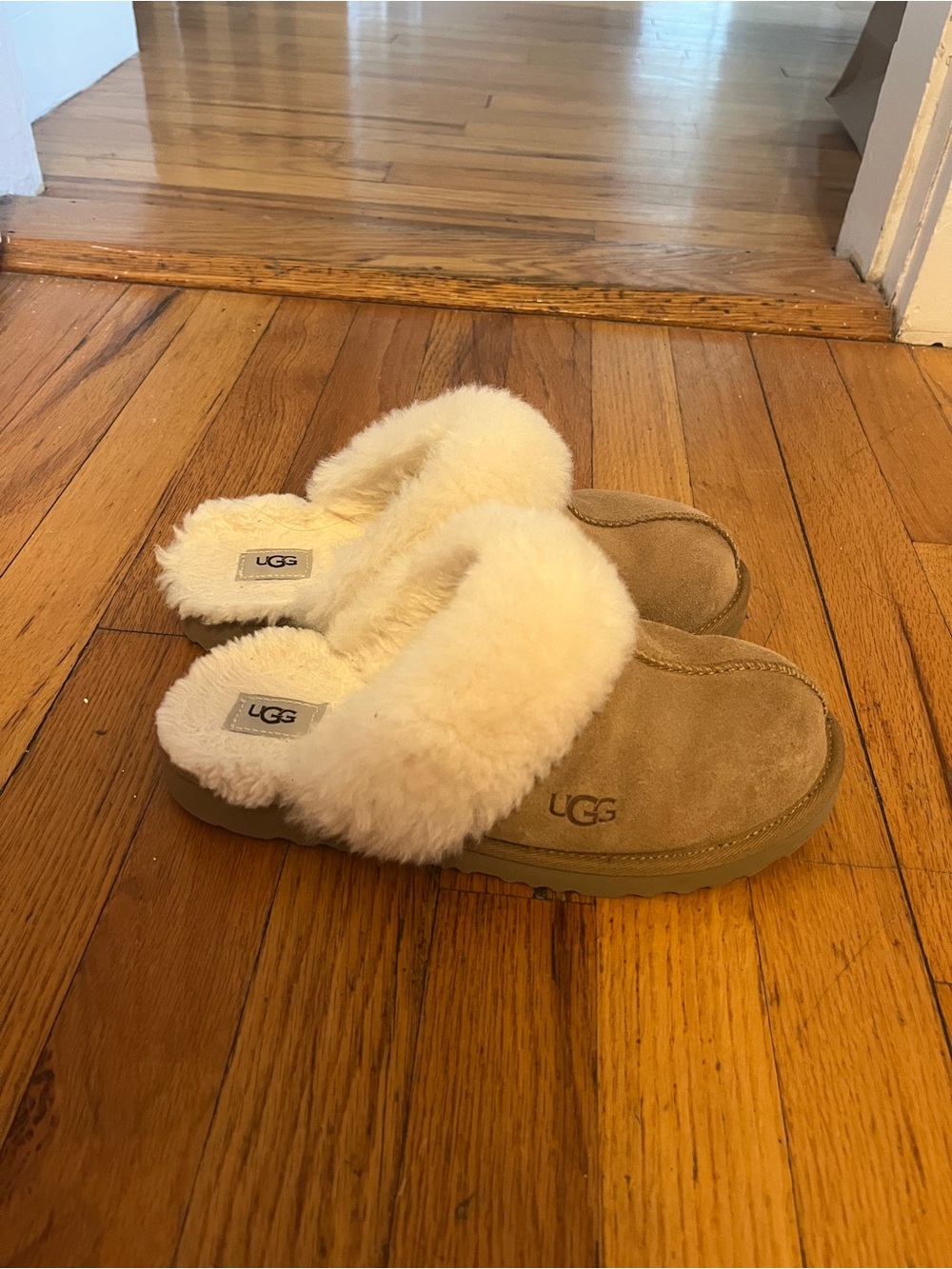 Chestnut Ugg Slippers